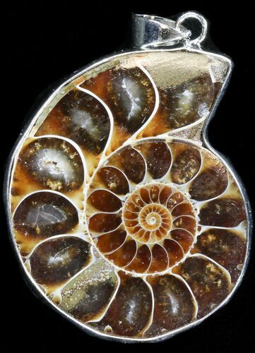 Fossil Ammonite Pendant - Million Years Old #37913